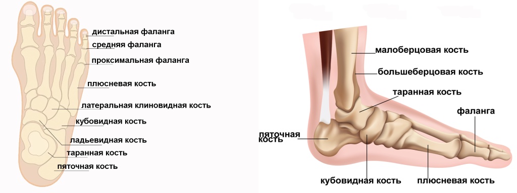 foot.jpg foot.jpg